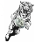 Site User Upload