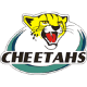 Cheetahs